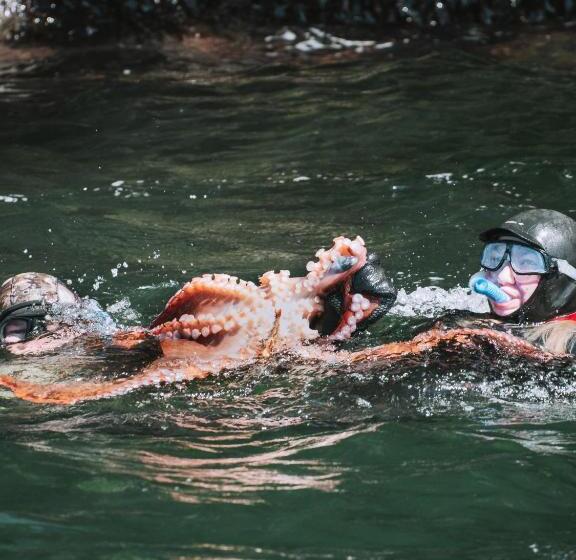 海の見える1ベッドルームアパートメント, Lunar Cove Inn