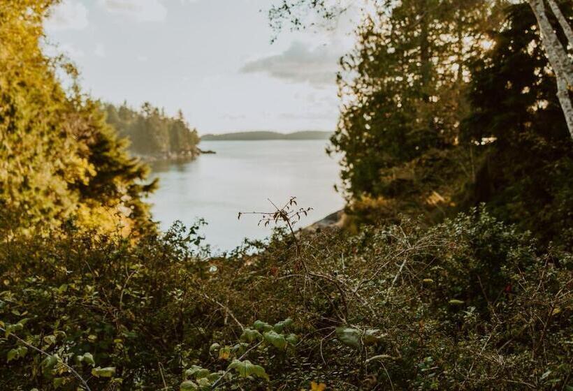 キングサイズベッドのスイートルーム, Lunar Cove Inn