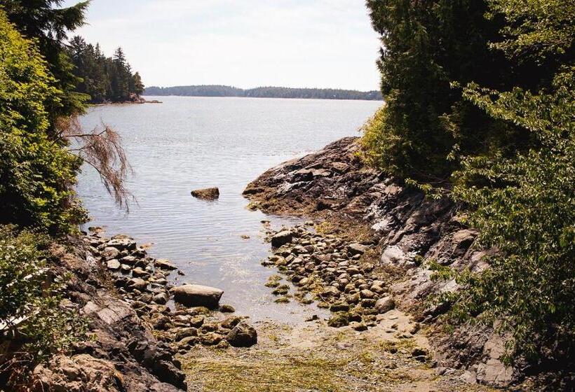 キングサイズベッドのスイートルーム, Lunar Cove Inn