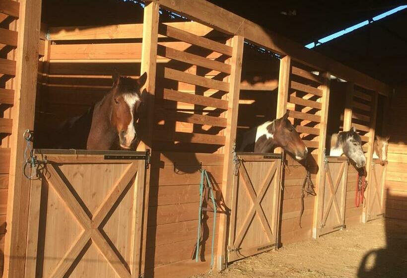 غرفة عائلية, Chambres D Hôtes Coeur De Bastié Et Ranch Du Lévézou