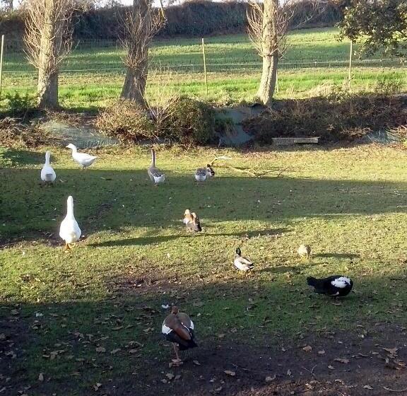 标准间, Domaine De Kerzuat