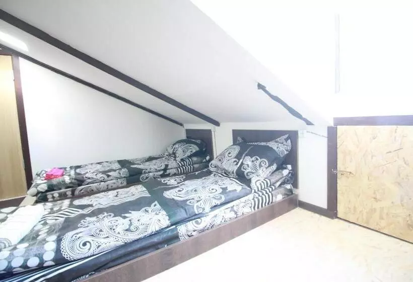 تختخواب در اتاق مشترک, Sheni Hostel