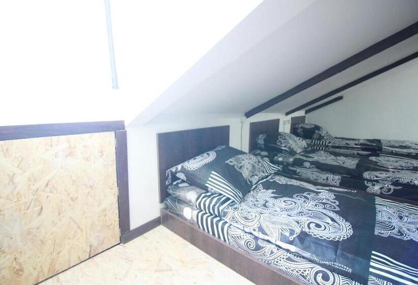 تختخواب در اتاق مشترک, Sheni Hostel