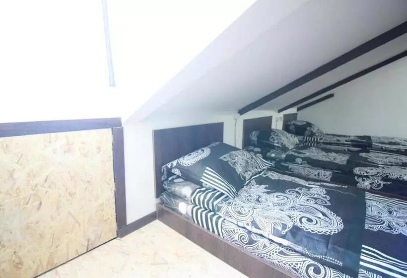 تختخواب در اتاق مشترک, Sheni Hostel