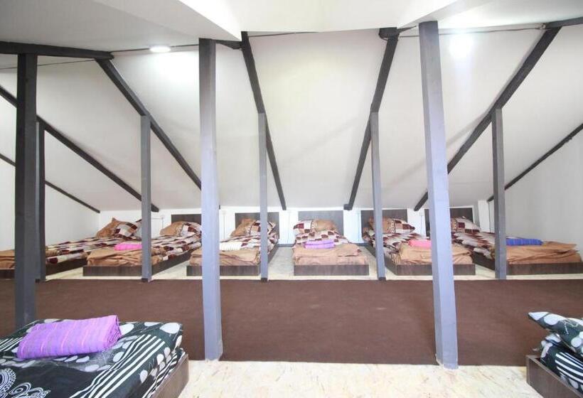 تختخواب در اتاق مشترک, Sheni Hostel