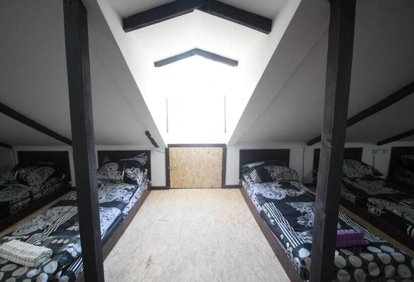 تختخواب در اتاق مشترک, Sheni Hostel