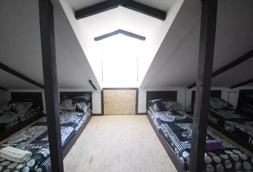 تختخواب در اتاق مشترک, Sheni Hostel