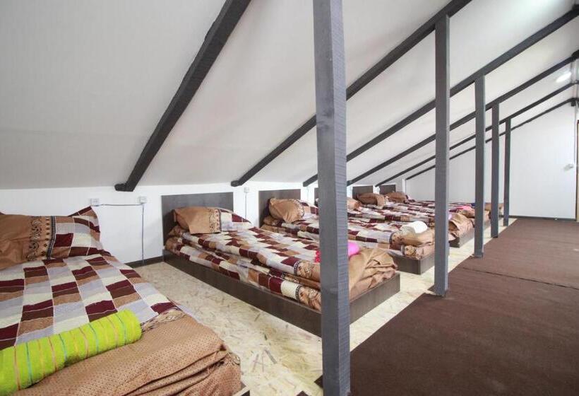 تختخواب در اتاق مشترک, Sheni Hostel