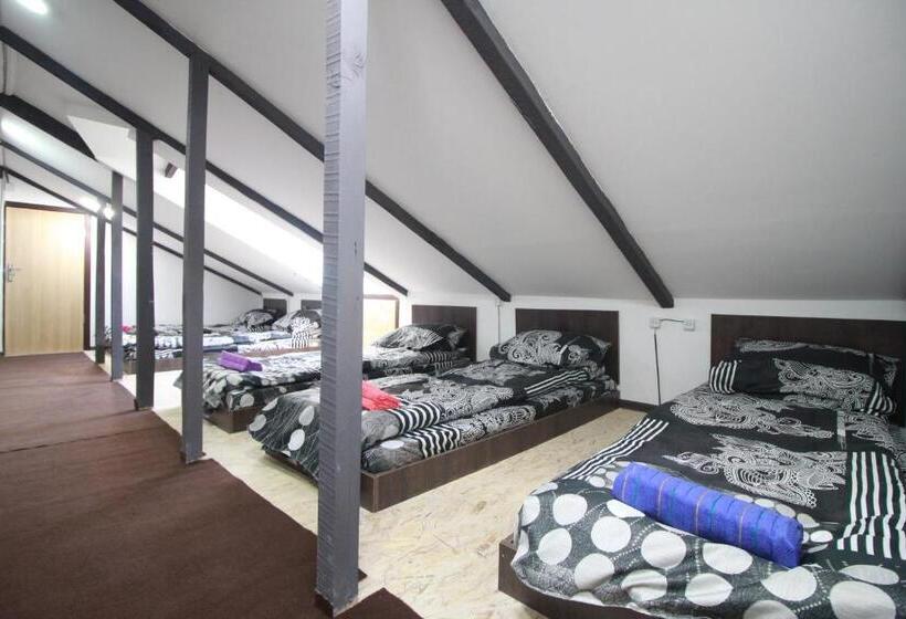 تختخواب در اتاق مشترک, Sheni Hostel