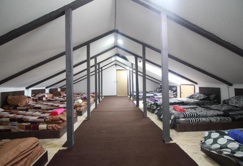 تختخواب در اتاق مشترک, Sheni Hostel