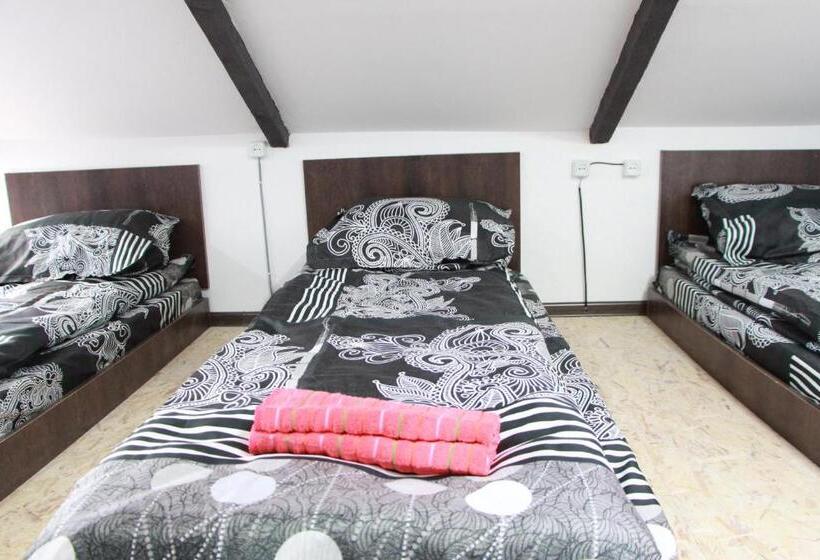 تختخواب در اتاق مشترک, Sheni Hostel