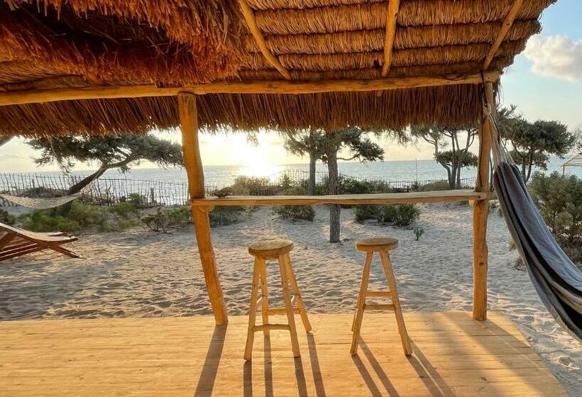 بانگلوی استاندارد, La Dune Des Songes