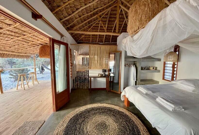 بانگلوی استاندارد, La Dune Des Songes