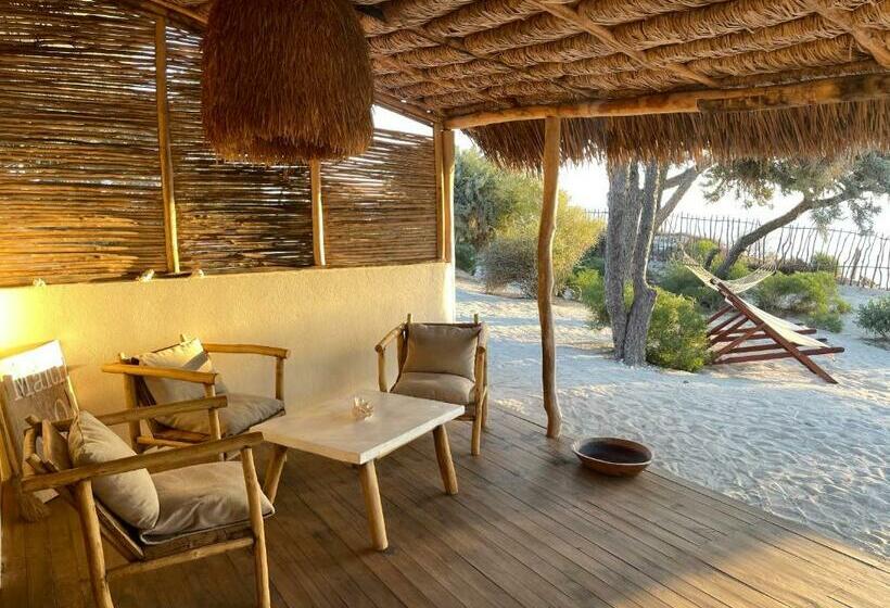 بانگلوی استاندارد, La Dune Des Songes