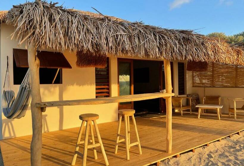 بانگلوی استاندارد, La Dune Des Songes