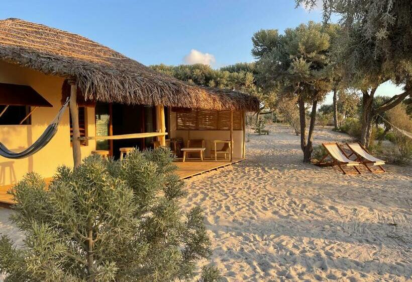 بانگلوی استاندارد, La Dune Des Songes