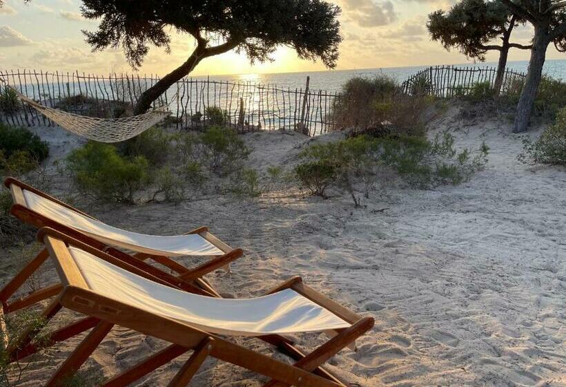 بانگلوی استاندارد, La Dune Des Songes