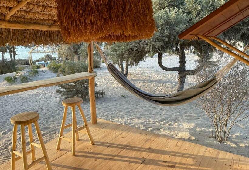 بانگلوی استاندارد, La Dune Des Songes