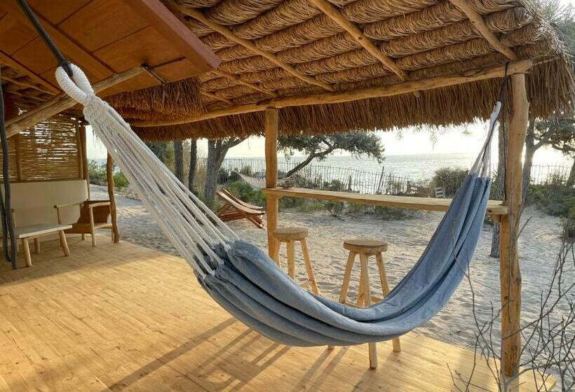 بانگلوی استاندارد, La Dune Des Songes