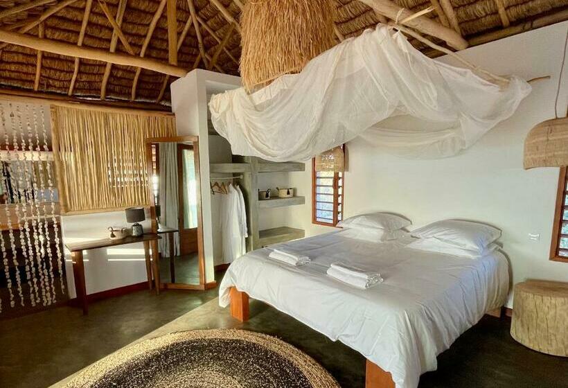 بانگلوی استاندارد, La Dune Des Songes