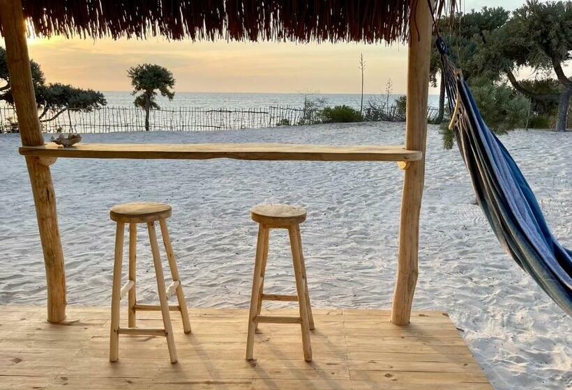 بانگلوی استاندارد, La Dune Des Songes