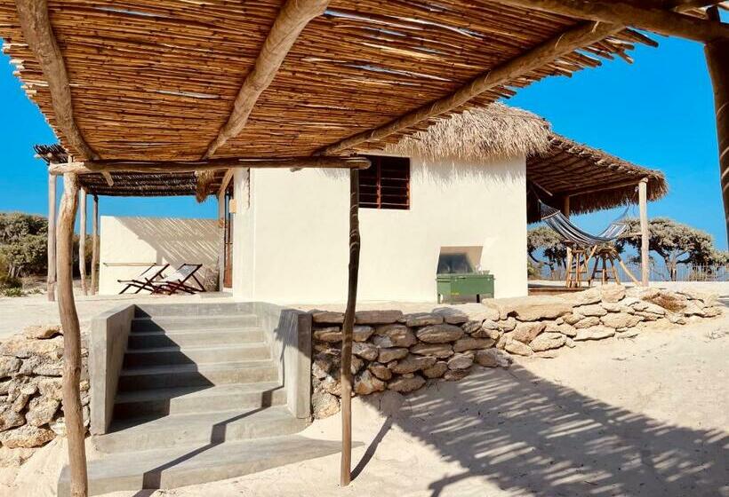 بانگلوی استاندارد, La Dune Des Songes