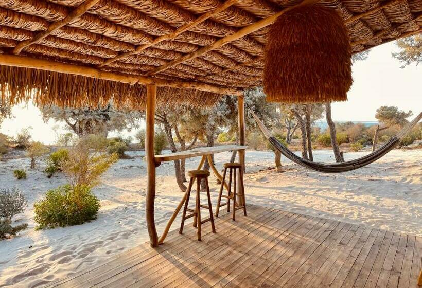 بانگلوی لوکس, La Dune Des Songes