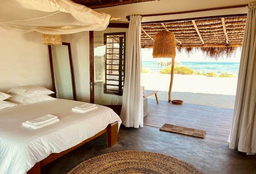 بانگلوی لوکس, La Dune Des Songes