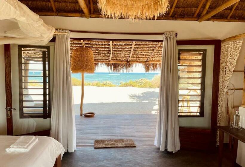 بانگلوی لوکس, La Dune Des Songes