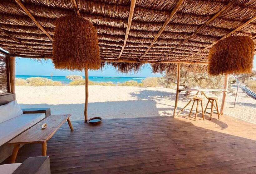 بانگلوی سوپریور, La Dune Des Songes