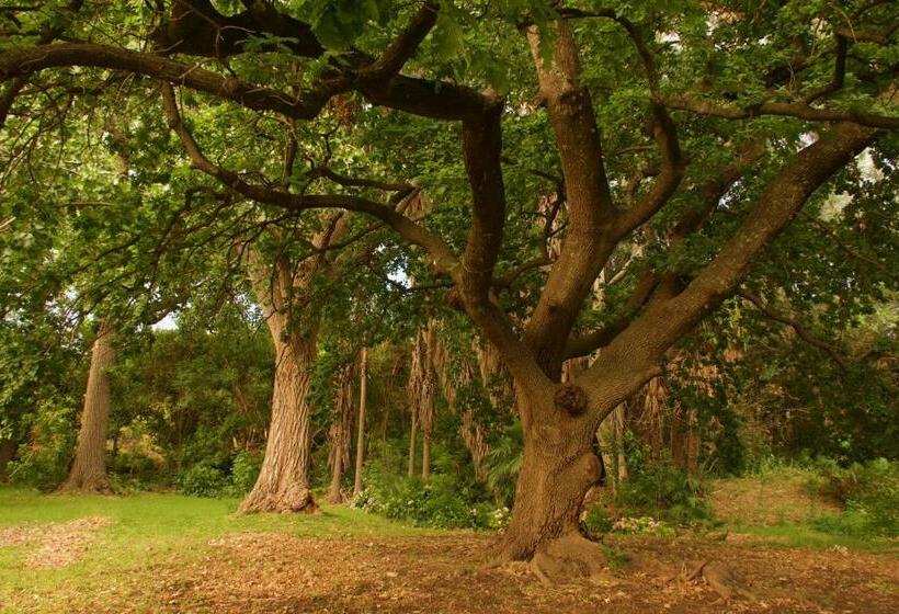 غرفة قياسية, 210 Casa De Huéspedes