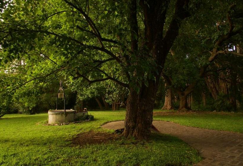 غرفة قياسية, 210 Casa De Huéspedes