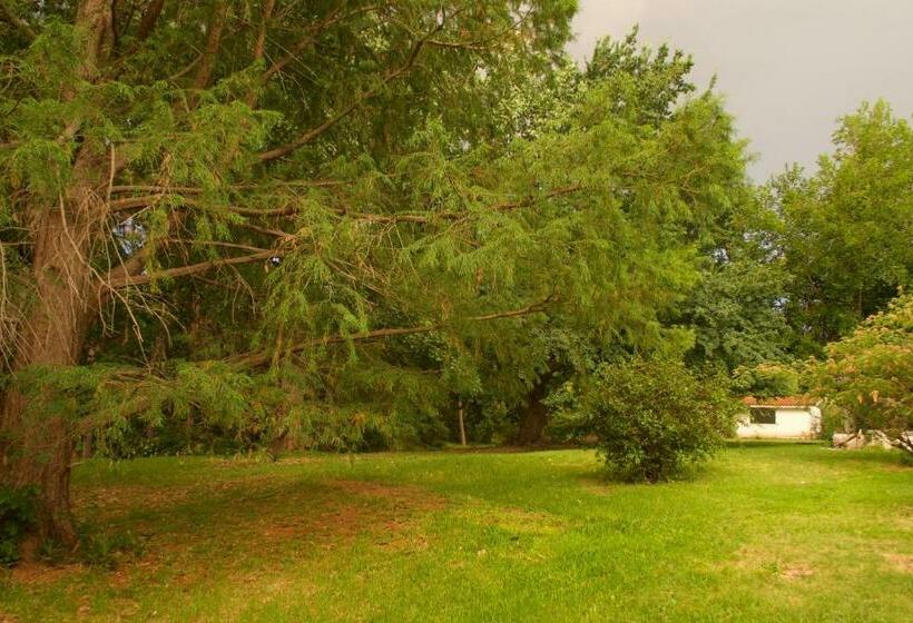 غرفة قياسية, 210 Casa De Huéspedes