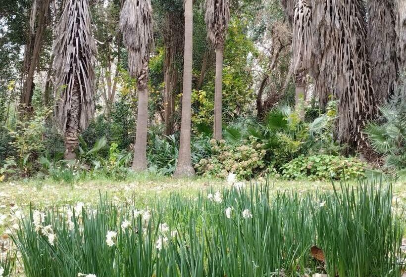 غرفة قياسية, 210 Casa De Huéspedes