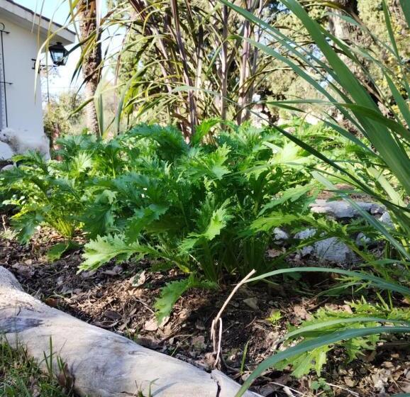 غرفة قياسية, 210 Casa De Huéspedes