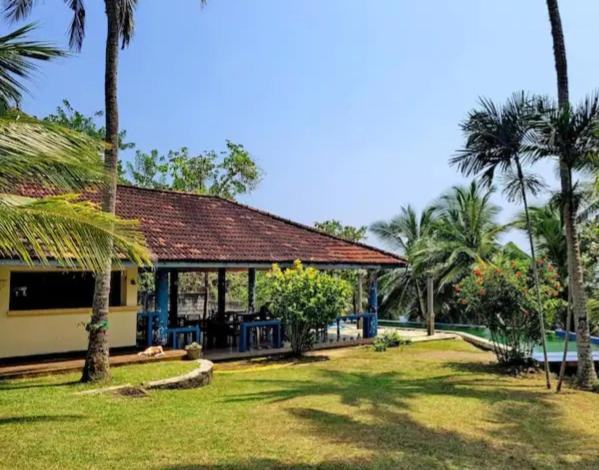 Номер Стандарт, Beach Front Pool Resort
