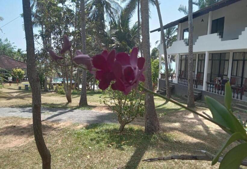 标准间, Beach Front Pool Resort