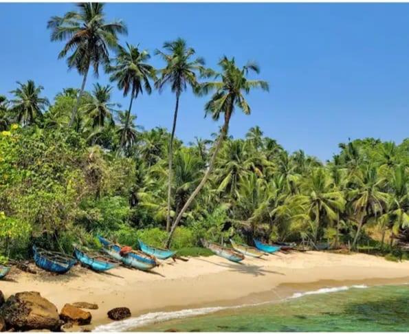 豪华房间, Beach Front Pool Resort