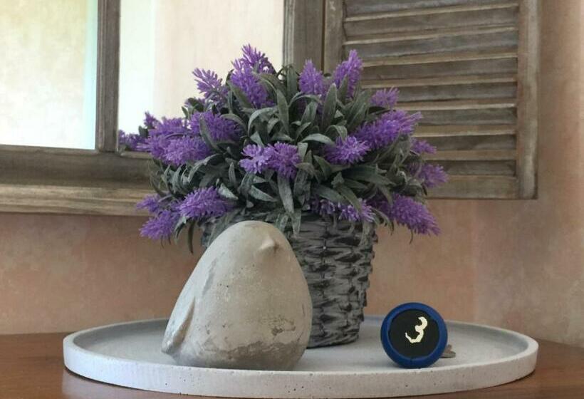 标准间, Domaine De Lascaux