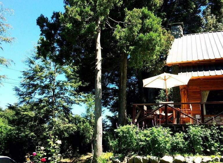 اتاق استاندارد با سرویس بهداشتی مشترک, El Aleph