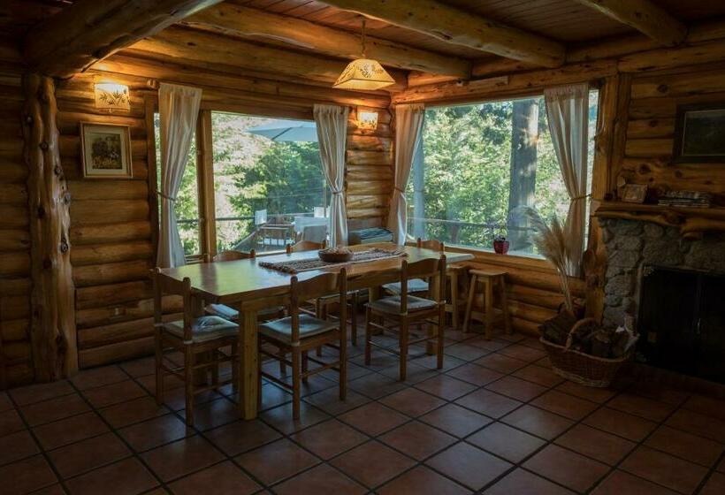 اتاق استاندارد با سرویس بهداشتی مشترک, El Aleph