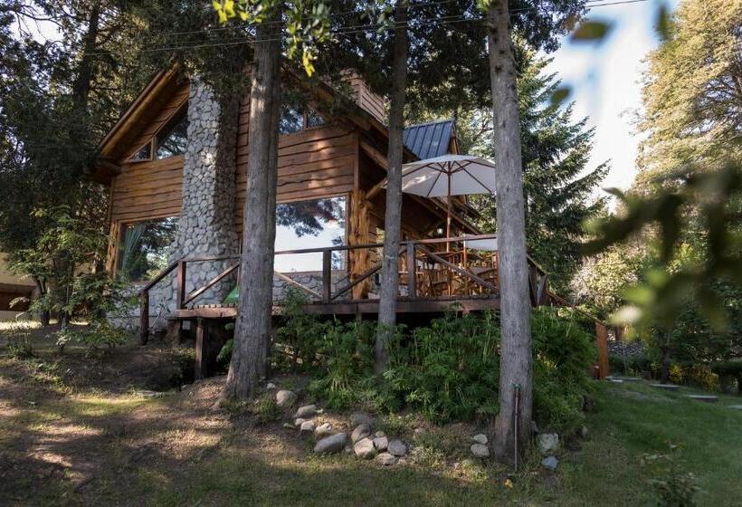 اتاق استاندارد با سرویس بهداشتی مشترک, El Aleph