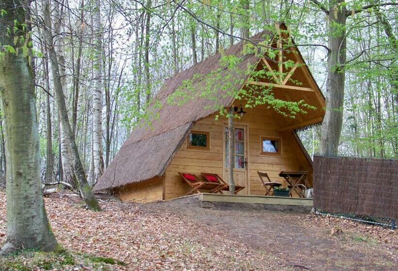 Номер Стандарт, Le Coeur De La Foret