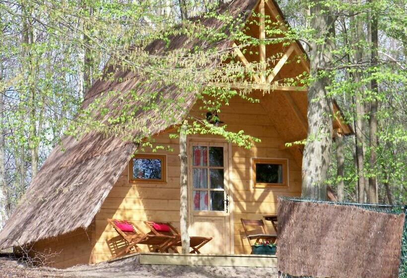 スタンダードルーム, Le Coeur De La Foret