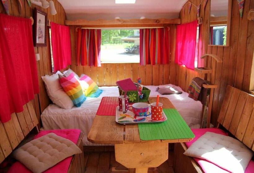 ベーシックルーム, Le Coeur De La Foret