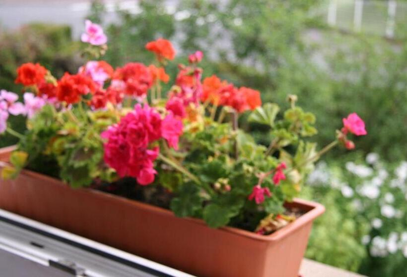 سوییت خانوادگی, Les Suites Champenoises