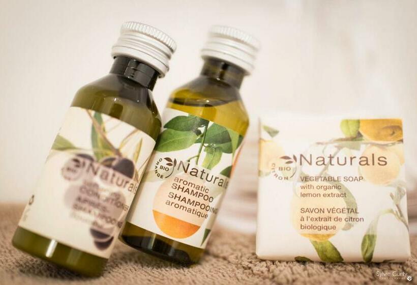 اتاق استاندارد چهار تخته, Villa Verde La Rochelle