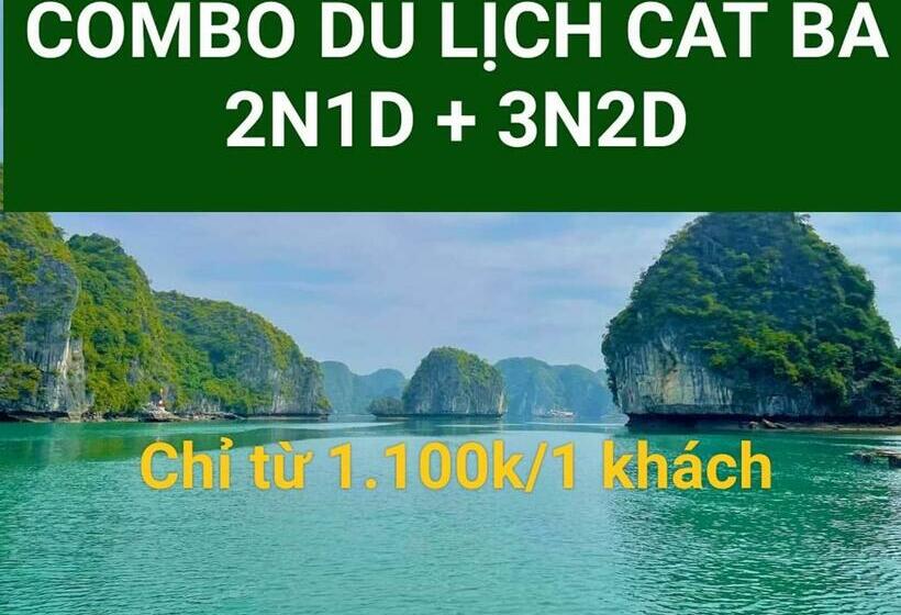 اتاق استاندارد چهار تخته, Bao Long Guest House