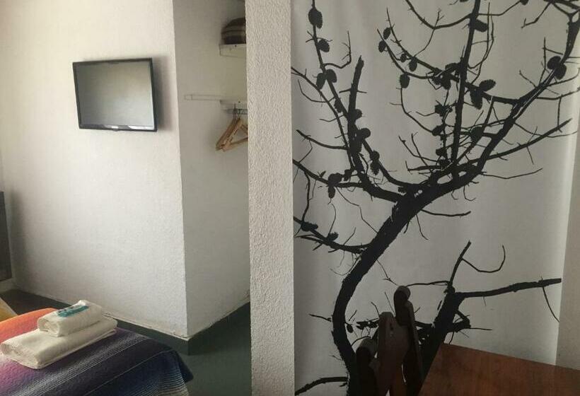 스탠다드 룸, Berlin Pinamar
