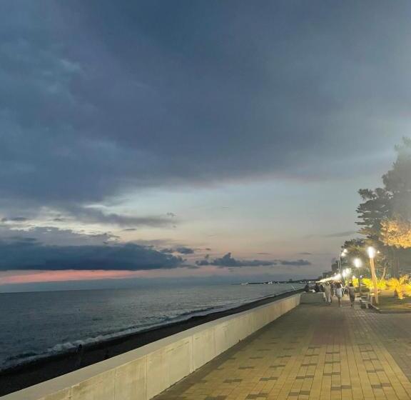 استودیوی استاندارد, Chaika